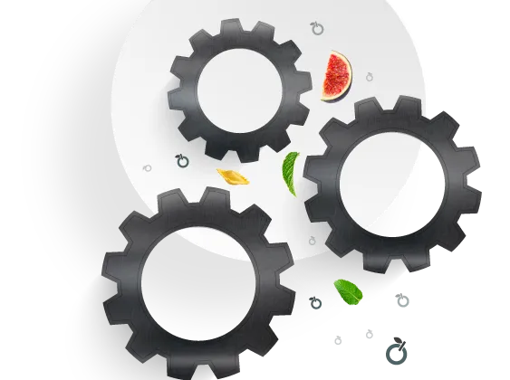 Gears and a slice of watermelon